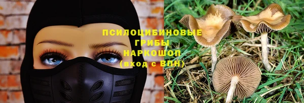 jwh Алагир