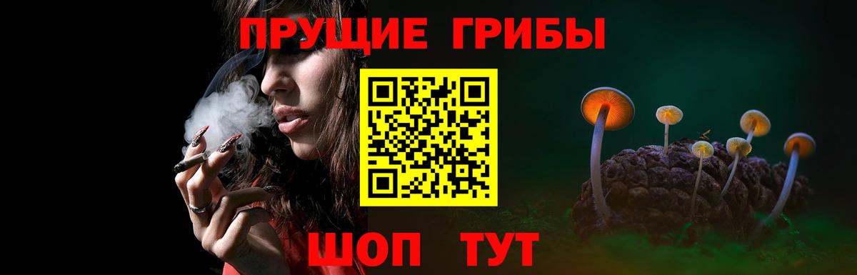 Псилоцибиновые грибы мицелий Мелеуз